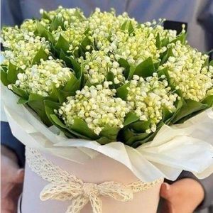 Meet your Posher, Anetta